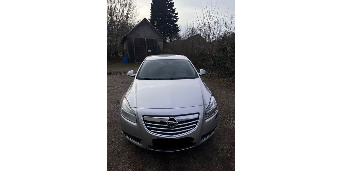 Opel Insignia 235.520 km 5.000 &euro; Steinbergkirche 24973