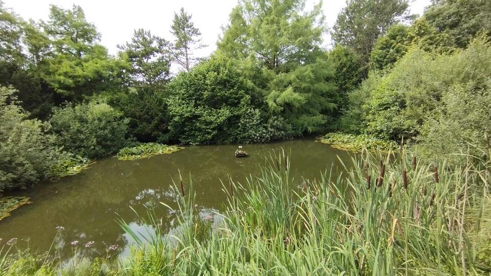 Einfamilienhaus Holtsee - 11 Zimmer, 350 m&sup2;, 675.000&euro; | Angebot:22227267